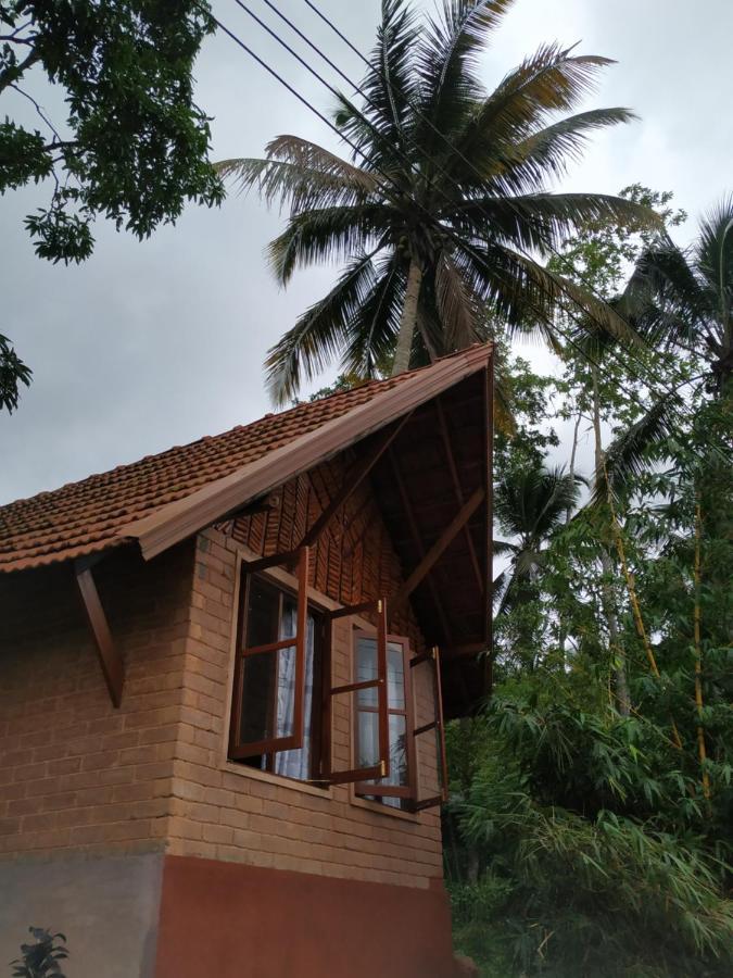 Cinnamon Village Sinharaja Deniyaya Ngoại thất bức ảnh