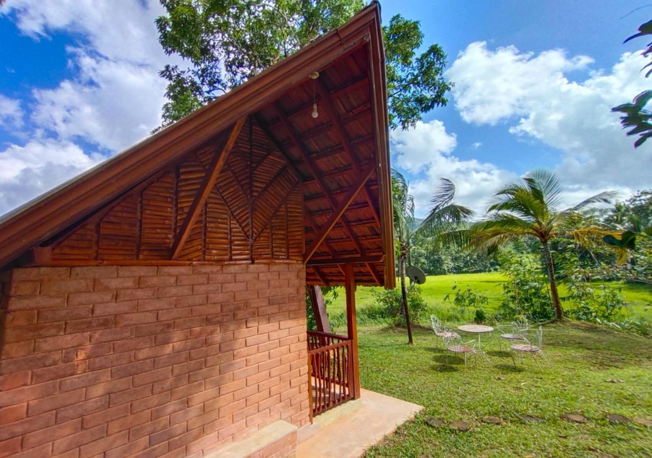 Cinnamon Village Sinharaja Deniyaya Ngoại thất bức ảnh