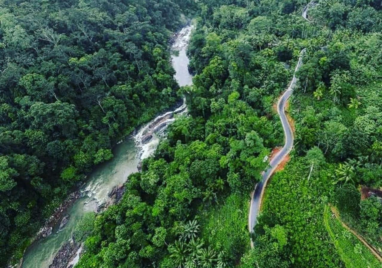 Cinnamon Village Sinharaja Deniyaya Ngoại thất bức ảnh