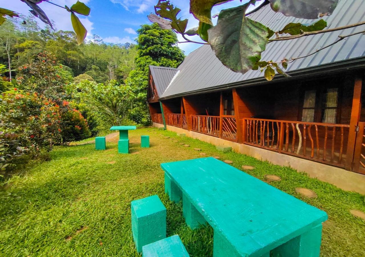 Cinnamon Village Sinharaja Deniyaya Ngoại thất bức ảnh