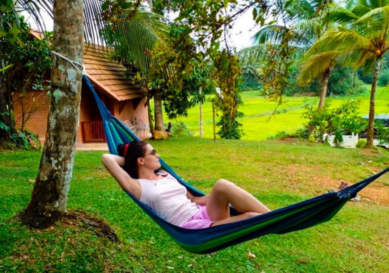 Cinnamon Village Sinharaja Deniyaya Ngoại thất bức ảnh