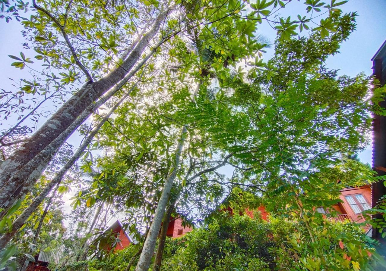 Cinnamon Village Sinharaja Deniyaya Ngoại thất bức ảnh