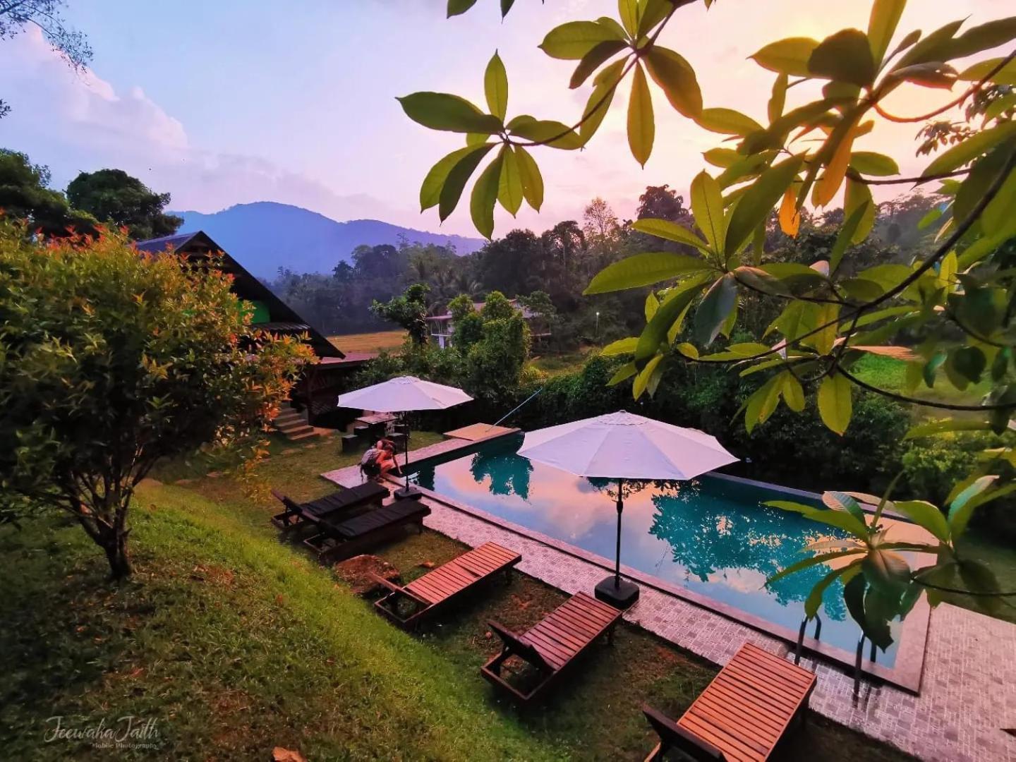 Cinnamon Village Sinharaja Deniyaya Ngoại thất bức ảnh