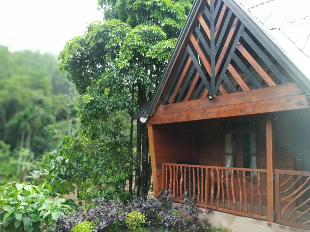 Cinnamon Village Sinharaja Deniyaya Ngoại thất bức ảnh