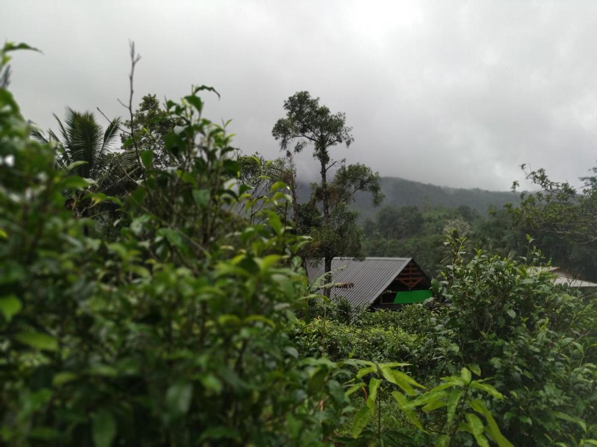 Cinnamon Village Sinharaja Deniyaya Ngoại thất bức ảnh